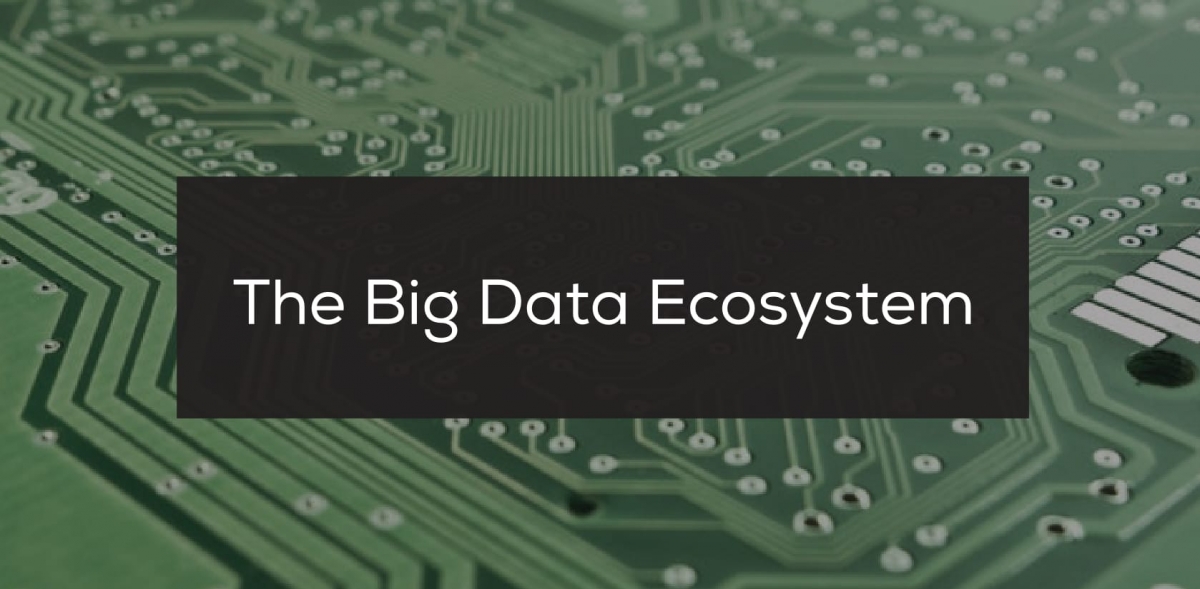 The Big Data Ecosystem